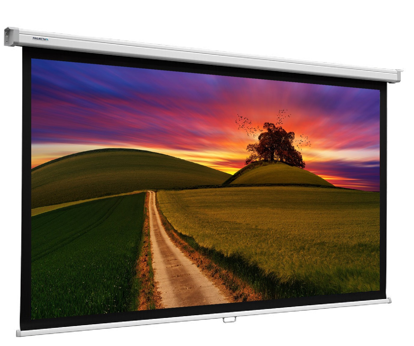 PROJECTA SlimScreen