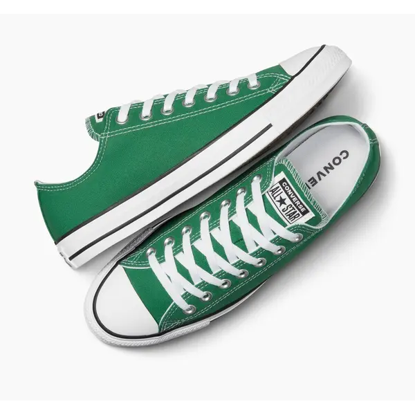 Converse Chuck Taylor All Star Canvas 43